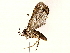  ( - BIOUG64406-D12)  @11 [ ] CreativeCommons - Attribution (2022) CBG Photography Group Centre for Biodiversity Genomics