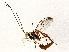  ( - BIOUG64406-G08)  @11 [ ] CreativeCommons - Attribution (2022) CBG Photography Group Centre for Biodiversity Genomics