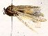  ( - BIOUG76504-C07)  @11 [ ] CreativeCommons - Attribution (2022) CBG Photography Group Centre for Biodiversity Genomics