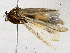  ( - BIOUG76504-C07)  @11 [ ] CreativeCommons - Attribution (2022) CBG Photography Group Centre for Biodiversity Genomics