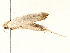  ( - BIOUG76504-C10)  @11 [ ] CreativeCommons - Attribution (2022) CBG Photography Group Centre for Biodiversity Genomics