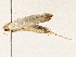 ( - BIOUG76504-C10)  @11 [ ] CreativeCommons - Attribution (2022) CBG Photography Group Centre for Biodiversity Genomics