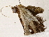  ( - BIOUG76505-A05)  @11 [ ] CreativeCommons - Attribution (2022) CBG Photography Group Centre for Biodiversity Genomics