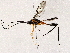  ( - BIOUG76505-C04)  @11 [ ] CreativeCommons - Attribution (2022) CBG Photography Group Centre for Biodiversity Genomics