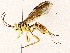  ( - BIOUG76505-E07)  @11 [ ] CreativeCommons - Attribution (2022) CBG Photography Group Centre for Biodiversity Genomics