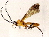  ( - BIOUG76505-E10)  @11 [ ] CreativeCommons - Attribution (2022) CBG Photography Group Centre for Biodiversity Genomics