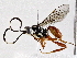  ( - BIOUG76505-F01)  @11 [ ] CreativeCommons - Attribution (2022) CBG Photography Group Centre for Biodiversity Genomics