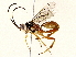  ( - BIOUG76506-D10)  @11 [ ] CreativeCommons - Attribution (2022) CBG Photography Group Centre for Biodiversity Genomics