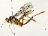  ( - BIOUG76506-E03)  @11 [ ] CreativeCommons - Attribution (2022) CBG Photography Group Centre for Biodiversity Genomics