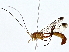  ( - BIOUG80142-D11)  @13 [ ] CreativeCommons - Attribution (2022) CBG Photography Group Centre for Biodiversity Genomics