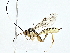  ( - BIOUG80143-A05)  @11 [ ] CreativeCommons - Attribution (2022) CBG Photography Group Centre for Biodiversity Genomics