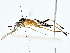  ( - BIOUG80143-E04)  @11 [ ] CreativeCommons - Attribution (2022) CBG Photography Group Centre for Biodiversity Genomics