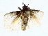  ( - BIOUG80144-A06)  @11 [ ] CreativeCommons - Attribution (2022) CBG Photography Group Centre for Biodiversity Genomics