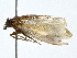  ( - BIOUG80144-A11)  @11 [ ] CreativeCommons - Attribution (2022) CBG Photography Group Centre for Biodiversity Genomics