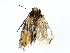  ( - BIOUG80145-A12)  @11 [ ] CreativeCommons - Attribution (2022) CBG Photography Group Centre for Biodiversity Genomics