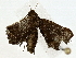  ( - BIOUG80145-B02)  @11 [ ] CreativeCommons - Attribution (2022) CBG Photography Group Centre for Biodiversity Genomics