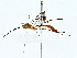  ( - BIOUG80145-B10)  @11 [ ] CreativeCommons - Attribution (2022) CBG Photography Group Centre for Biodiversity Genomics