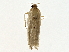  ( - BIOUG80147-B01)  @11 [ ] CreativeCommons - Attribution (2022) CBG Photography Group Centre for Biodiversity Genomics