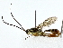  ( - BIOUG80147-C05)  @11 [ ] CreativeCommons - Attribution (2022) CBG Photography Group Centre for Biodiversity Genomics