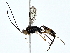  ( - BIOUG80147-C10)  @11 [ ] CreativeCommons - Attribution (2022) CBG Photography Group Centre for Biodiversity Genomics