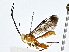  ( - BIOUG80153-B12)  @11 [ ] CreativeCommons - Attribution (2022) CBG Photography Group Centre for Biodiversity Genomics