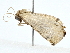  ( - BIOUG80154-B07)  @11 [ ] CreativeCommons - Attribution (2022) CBG Photography Group Centre for Biodiversity Genomics
