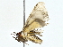  ( - BIOUG80155-E05)  @11 [ ] CreativeCommons - Attribution (2022) CBG Photography Group Centre for Biodiversity Genomics