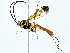 ( - BIOUG80156-A11)  @11 [ ] CreativeCommons - Attribution (2022) CBG Photography Group Centre for Biodiversity Genomics