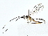  ( - BIOUG80156-E08)  @11 [ ] CreativeCommons - Attribution (2022) CBG Photography Group Centre for Biodiversity Genomics