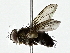 (Anisia Malaise9515 - BIOUG80156-G02)  @11 [ ] CreativeCommons - Attribution (2022) CBG Photography Group Centre for Biodiversity Genomics