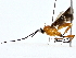  ( - BIOUG80165-B09)  @11 [ ] CreativeCommons - Attribution (2022) CBG Photography Group Centre for Biodiversity Genomics