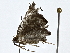  ( - BIOUG80166-C12)  @11 [ ] CreativeCommons - Attribution (2022) CBG Photography Group Centre for Biodiversity Genomics