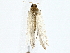  ( - BIOUG80166-D06)  @11 [ ] CreativeCommons - Attribution (2022) CBG Photography Group Centre for Biodiversity Genomics
