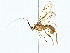  ( - BIOUG80167-E07)  @11 [ ] CreativeCommons - Attribution (2022) CBG Photography Group Centre for Biodiversity Genomics