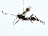  ( - BIOUG80167-F06)  @11 [ ] CreativeCommons - Attribution (2022) CBG Photography Group Centre for Biodiversity Genomics