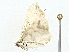  ( - BIOUG80171-B01)  @11 [ ] CreativeCommons - Attribution (2022) CBG Photography Group Centre for Biodiversity Genomics
