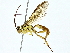  ( - BIOUG80172-A07)  @11 [ ] CreativeCommons - Attribution (2022) CBG Photography Group Centre for Biodiversity Genomics
