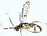  ( - BIOUG80172-A09)  @11 [ ] CreativeCommons - Attribution (2022) CBG Photography Group Centre for Biodiversity Genomics