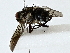  ( - BIOUG80172-F12)  @11 [ ] CreativeCommons - Attribution (2022) CBG Photography Group Centre for Biodiversity Genomics