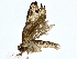  ( - BIOUG80173-B07)  @11 [ ] CreativeCommons - Attribution (2022) CBG Photography Group Centre for Biodiversity Genomics
