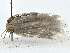  ( - BIOUG80173-B12)  @11 [ ] CreativeCommons - Attribution (2022) CBG Photography Group Centre for Biodiversity Genomics