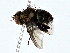  ( - BIOUG80174-F08)  @11 [ ] CreativeCommons - Attribution (2022) CBG Photography Group Centre for Biodiversity Genomics