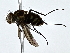  ( - BIOUG80174-F12)  @11 [ ] CreativeCommons - Attribution (2022) CBG Photography Group Centre for Biodiversity Genomics