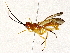  ( - BIOUG64407-H02)  @11 [ ] CreativeCommons - Attribution (2022) CBG Photography Group Centre for Biodiversity Genomics