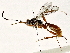  ( - BIOUG64407-H04)  @11 [ ] CreativeCommons - Attribution (2022) CBG Photography Group Centre for Biodiversity Genomics