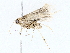  ( - BIOUG64408-B08)  @11 [ ] CreativeCommons - Attribution (2022) CBG Photography Group Centre for Biodiversity Genomics