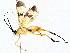  ( - BIOUG64409-F05)  @11 [ ] CreativeCommons - Attribution (2022) CBG Photography Group Centre for Biodiversity Genomics