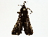  ( - BIOUG64410-A03)  @11 [ ] CreativeCommons - Attribution (2022) CBG Photography Group Centre for Biodiversity Genomics
