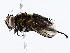  ( - BIOUG64410-F10)  @11 [ ] CreativeCommons - Attribution (2022) CBG Photography Group Centre for Biodiversity Genomics