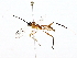  ( - BIOUG64410-G05)  @11 [ ] CreativeCommons - Attribution (2022) CBG Photography Group Centre for Biodiversity Genomics